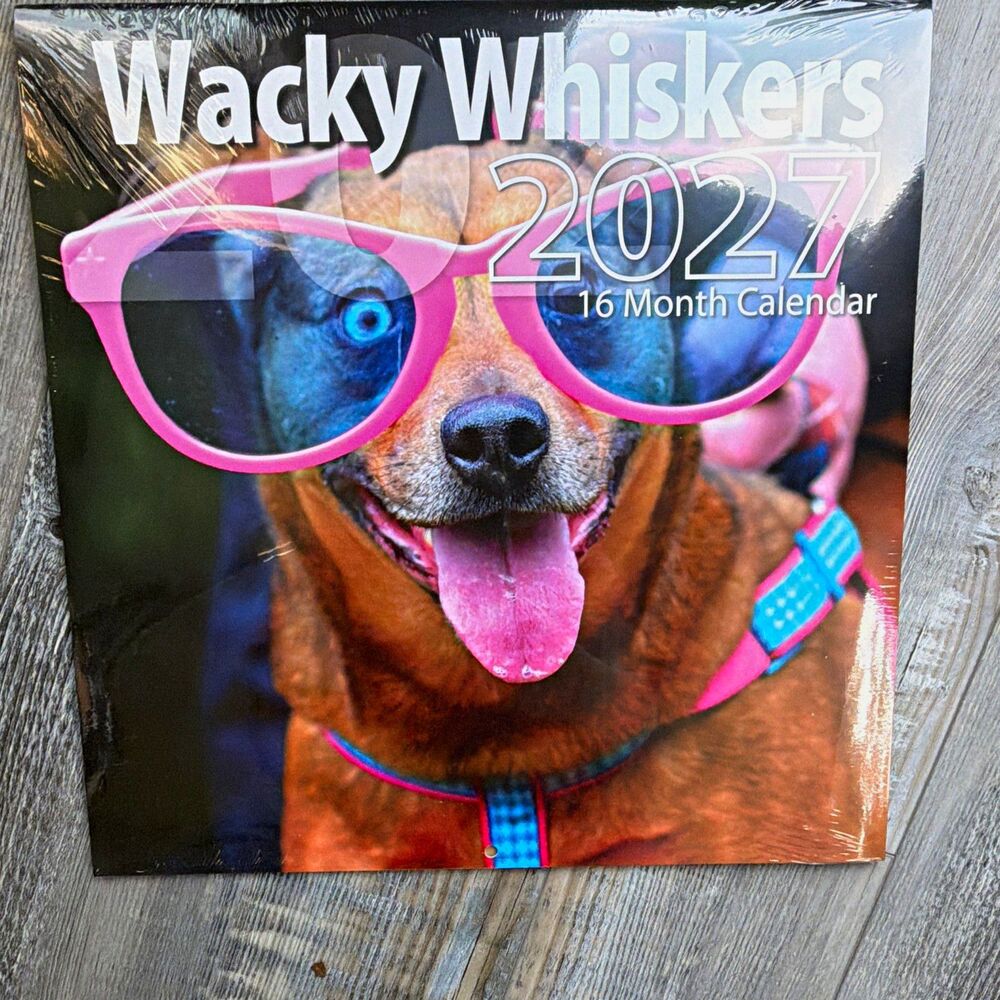 Bachmann Press Wacky Whiskers 2027 16-Month Calendar Wall Calendar